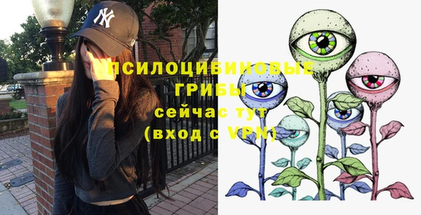 индика Бугульма